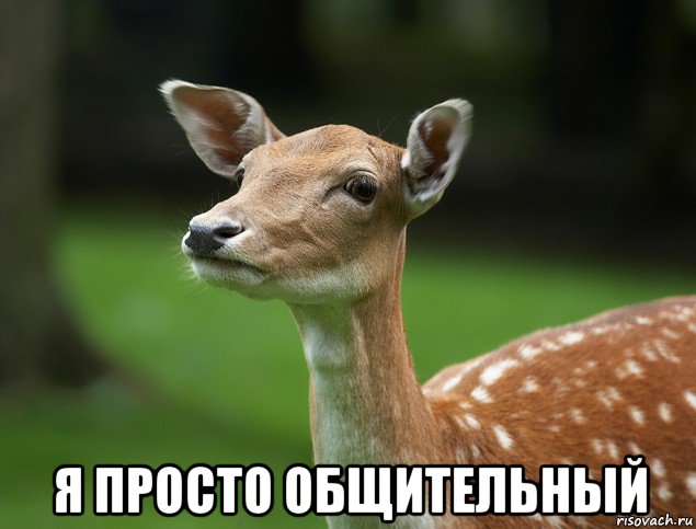  я просто общительный