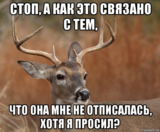 стоп, а как это связано с тем, что она мне не отписалась, хотя я просил?, Мем  Наивный Олень v2