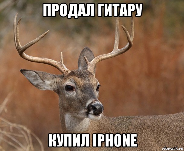 продал гитару купил iphone, Мем  Наивный Олень v2