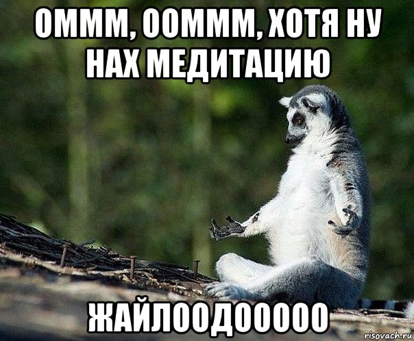 оммм, ооммм, хотя ну нах медитацию жайлоодооооо, Мем не узбагоюсь