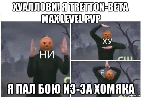 хуаллови! я tretton-beta max level pvp я пал бою из-за хомяка, Мем  Ни ху Я