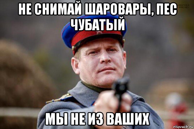 не снимай шаровары, пес чубатый мы не из ваших