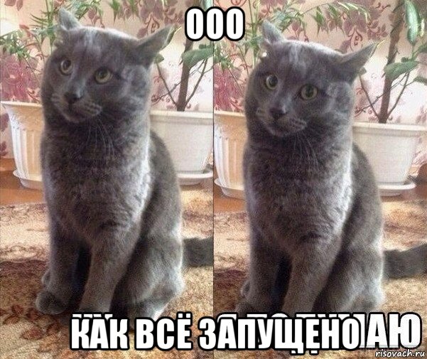 ооо как всё запущено