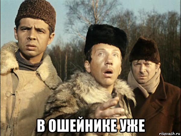  в ошейнике уже, Мем Обрили уже