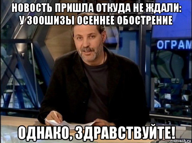 новость пришла откуда не ждали: у зоошизы осеннее обострение однако, здравствуйте!, Мем Однако Здравствуйте