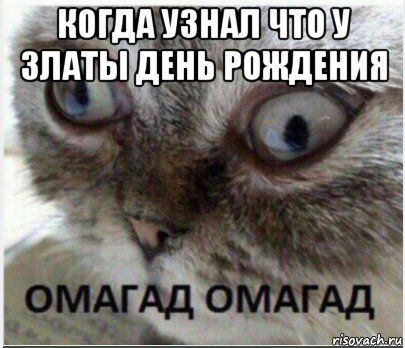 когда узнал что у златы день рождения 