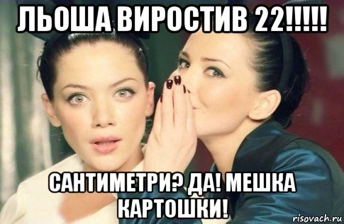 льоша виростив 22!!!!! сантиметри? да! мешка картошки!, Мем  Он