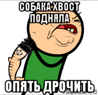 собака хвост подняла опять дрочить