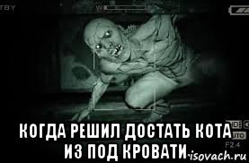  когда решил достать кота из под кровати, Мем Outlast