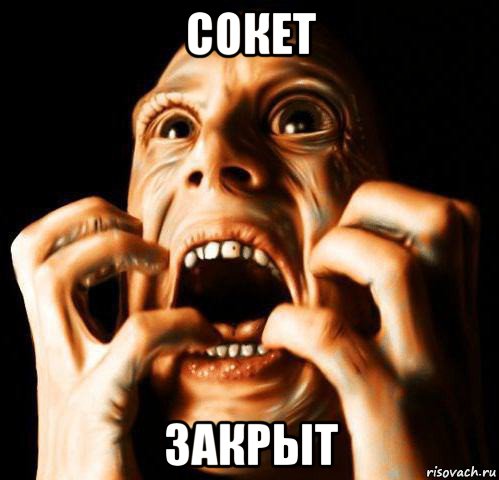 сокет закрыт, Мем Паника
