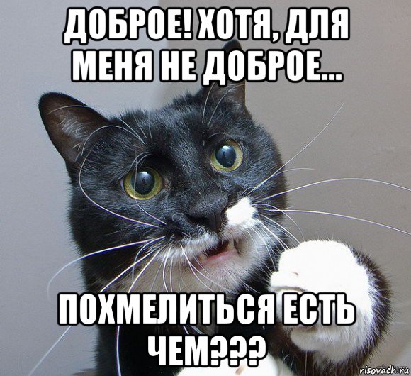 доброе! хотя, для меня не доброе... похмелиться есть чем???