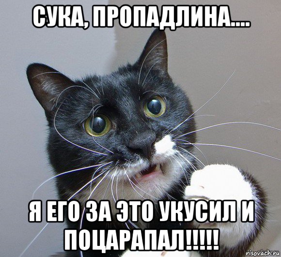 сука, пропадлина.... я его за это укусил и поцарапал!!!!!