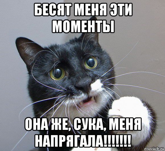 бесят меня эти моменты она же, сука, меня напрягала!!!!!!!