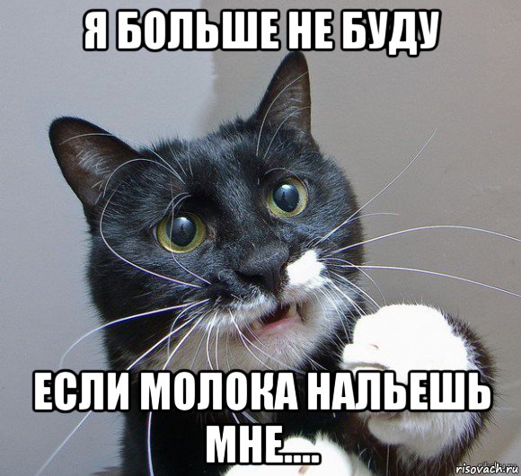 я больше не буду если молока нальешь мне....