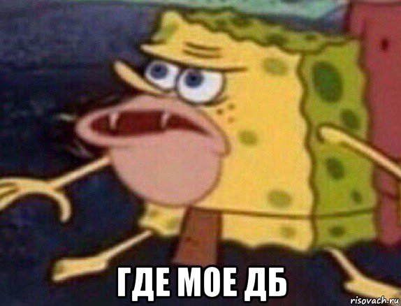  где мое дб