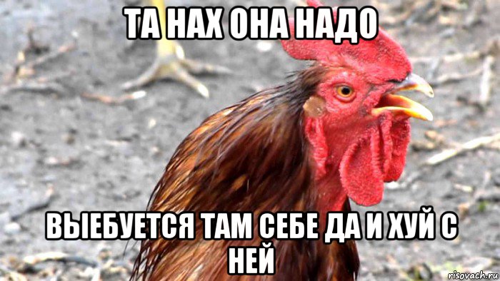 та нах она надо выебуется там себе да и хуй с ней