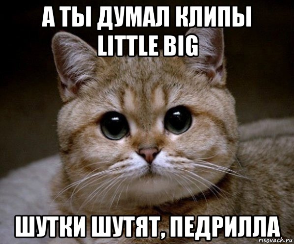 а ты думал клипы little big шутки шутят, педрилла, Мем Пидрила Ебаная