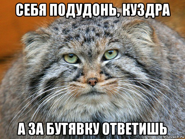 себя подудонь, куздра а за бутявку ответишь
