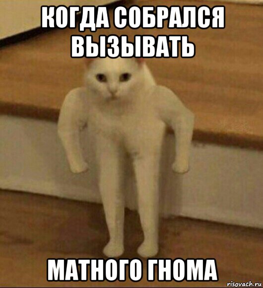 когда собрался вызывать матного гнома, Мем  Полукот