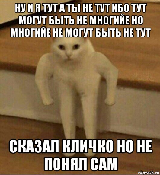 ну и я тут а ты не тут ибо тут могут быть не многийе но многийе не могут быть не тут сказал кличко но не понял сам, Мем  Полукот