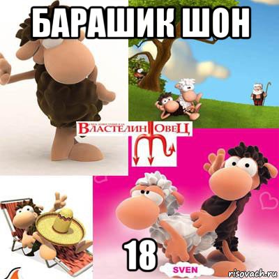 барашик шон 18