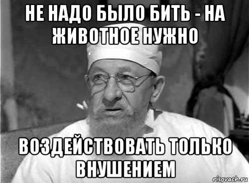 не надо было бить - на животное нужно воздействовать только внушением, Мем Профессор Преображенский