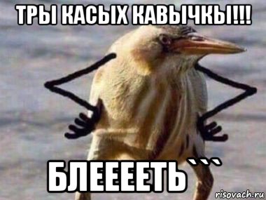 тры касых кавычкы!!! блееееть```
