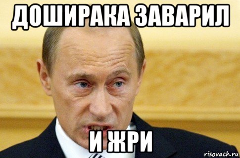 доширака заварил и жри, Мем путин