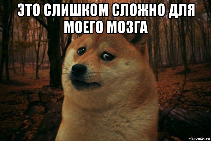 это слишком сложно для моего мозга , Мем SAD DOGE