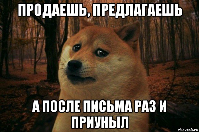 продаешь, предлагаешь а после письма раз и приуныл, Мем SAD DOGE