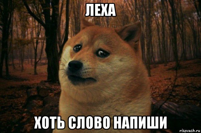 леха хоть слово напиши, Мем SAD DOGE