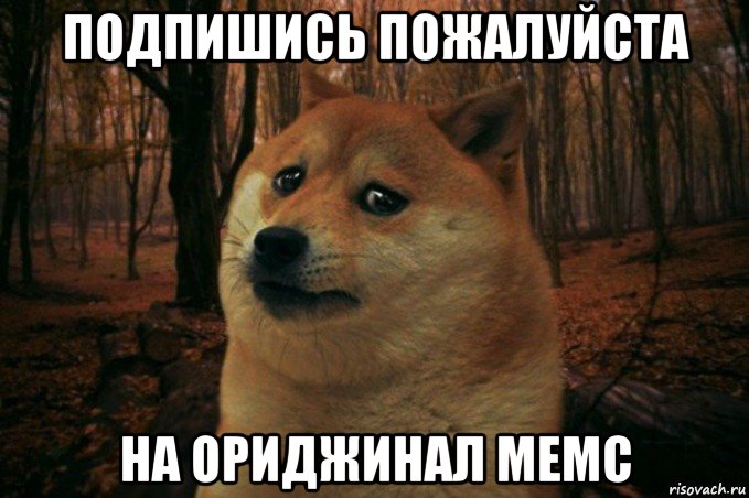 подпишись пожалуйста на ориджинал мемс, Мем SAD DOGE