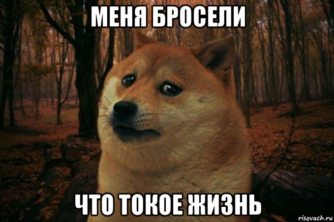 меня бросели что токое жизнь, Мем SAD DOGE