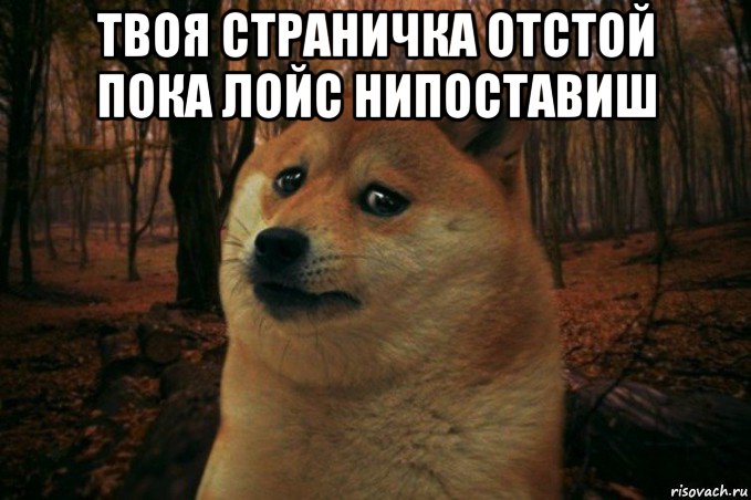 твоя страничка отстой пока лойс нипоставиш , Мем SAD DOGE