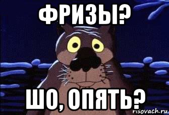 фризы? шо, опять?