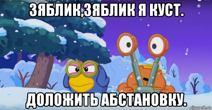 зяблик,зяблик я куст. доложить абстановку.