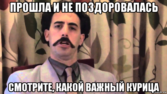 прошла и не поздоровалась смотрите, какой важный курица
