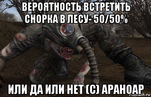 вероятность встретить снорка в лесу- 50/50% или да или нет (с) араноар