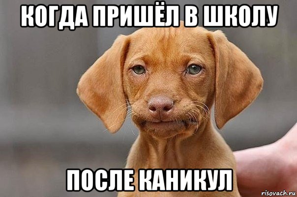 когда пришёл в школу после каникул