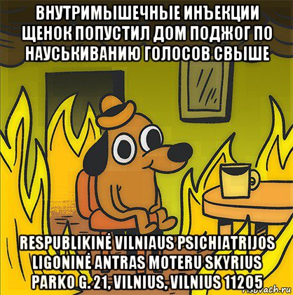 внутримышечные инъекции щенок попустил дом поджог по науськиванию голосов свыше respublikinė vilniaus psichiatrijos ligoninė antras moteru skyrius parko g. 21, vilnius, vilnius 11205