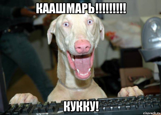 каашмарь!!!!!!!!! кукку!