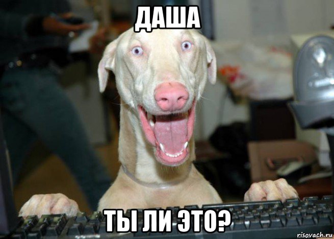 даша ты ли это?