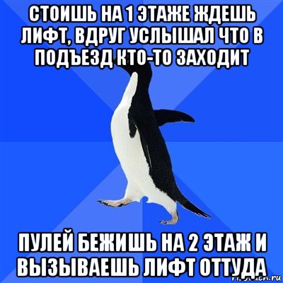 стоишь на 1 этаже ждешь лифт, вдруг услышал что в подъезд кто-то заходит пулей бежишь на 2 этаж и вызываешь лифт оттуда, Мем  Социально-неуклюжий пингвин