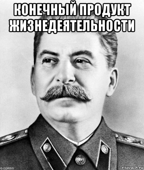 конечный продукт жизнедеятельности , Мем  Иосиф Виссарионович Сталин