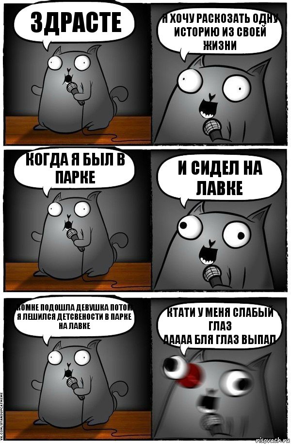 Здрасте Я хочу раскозать одну историю из своей жизни Когда я был в парке И сидел на лавке Комне подошла девушка потом я лешился детсвености в парке на лавке Ктати у меня слабый глаз
ааааа бля глаз выпал, Комикс  Стендап-кот