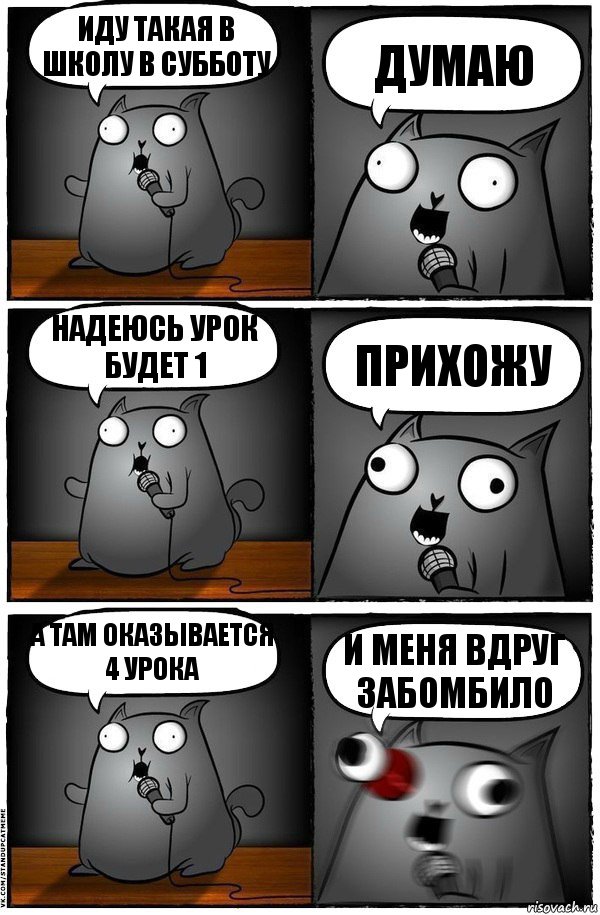 Иду такая в школу в субботу думаю Надеюсь урок будет 1 Прихожу А там оказывается 4 урока и меня вдруг забомбило, Комикс  Стендап-кот