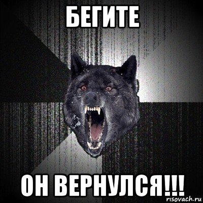 бегите он вернулся!!!, Мем Сумасшедший волк