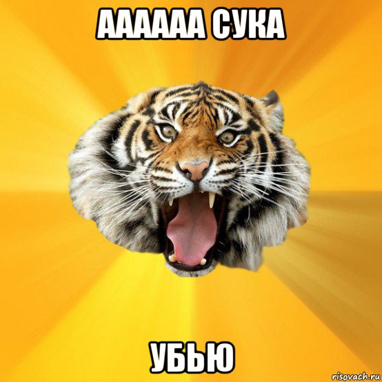 аааааа сука убью, Мем СУМАСШЕДШИЙ ТИГР