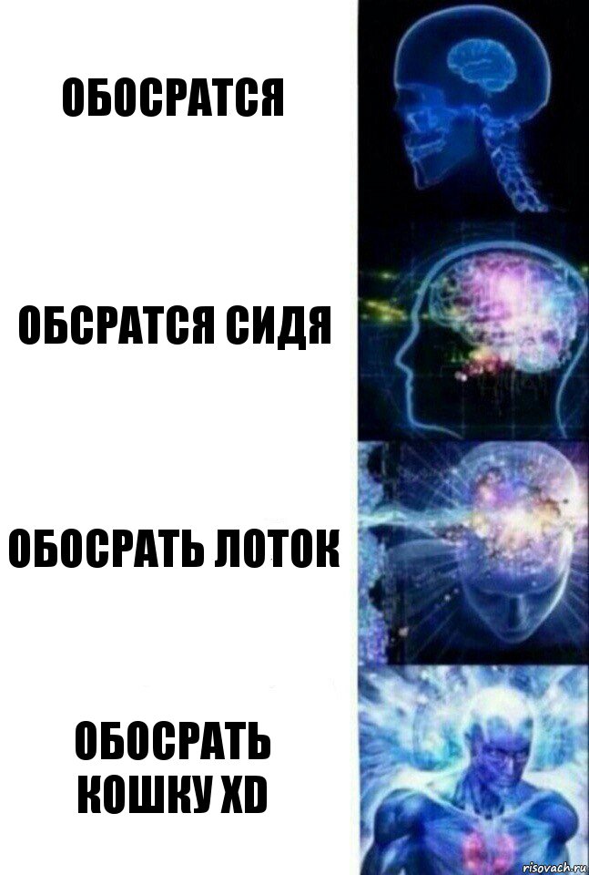 обосратся обсратся сидя обосрать лоток обосрать кошку XD, Комикс  Сверхразум