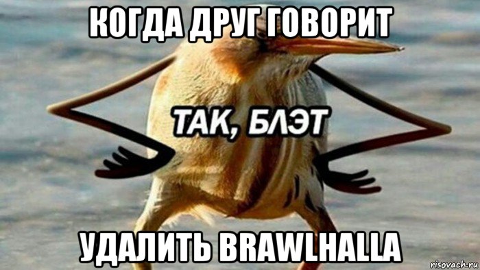 когда друг говорит удалить brawlhalla, Мем  Так блэт